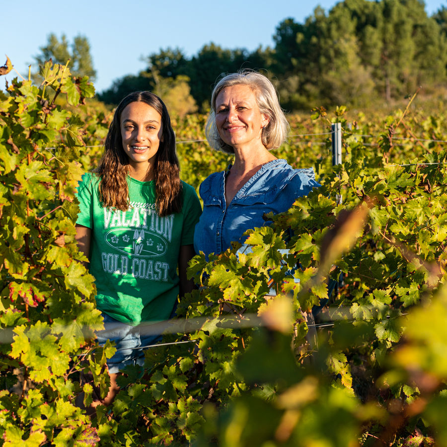 Vendanges dans les vignes