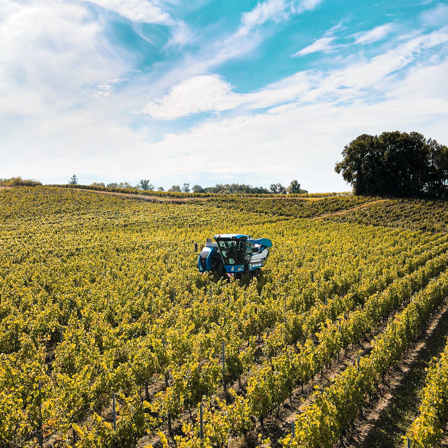 Vignoble bordelais